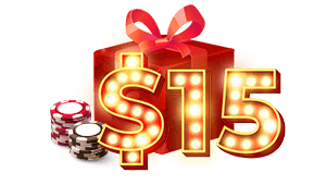 $15